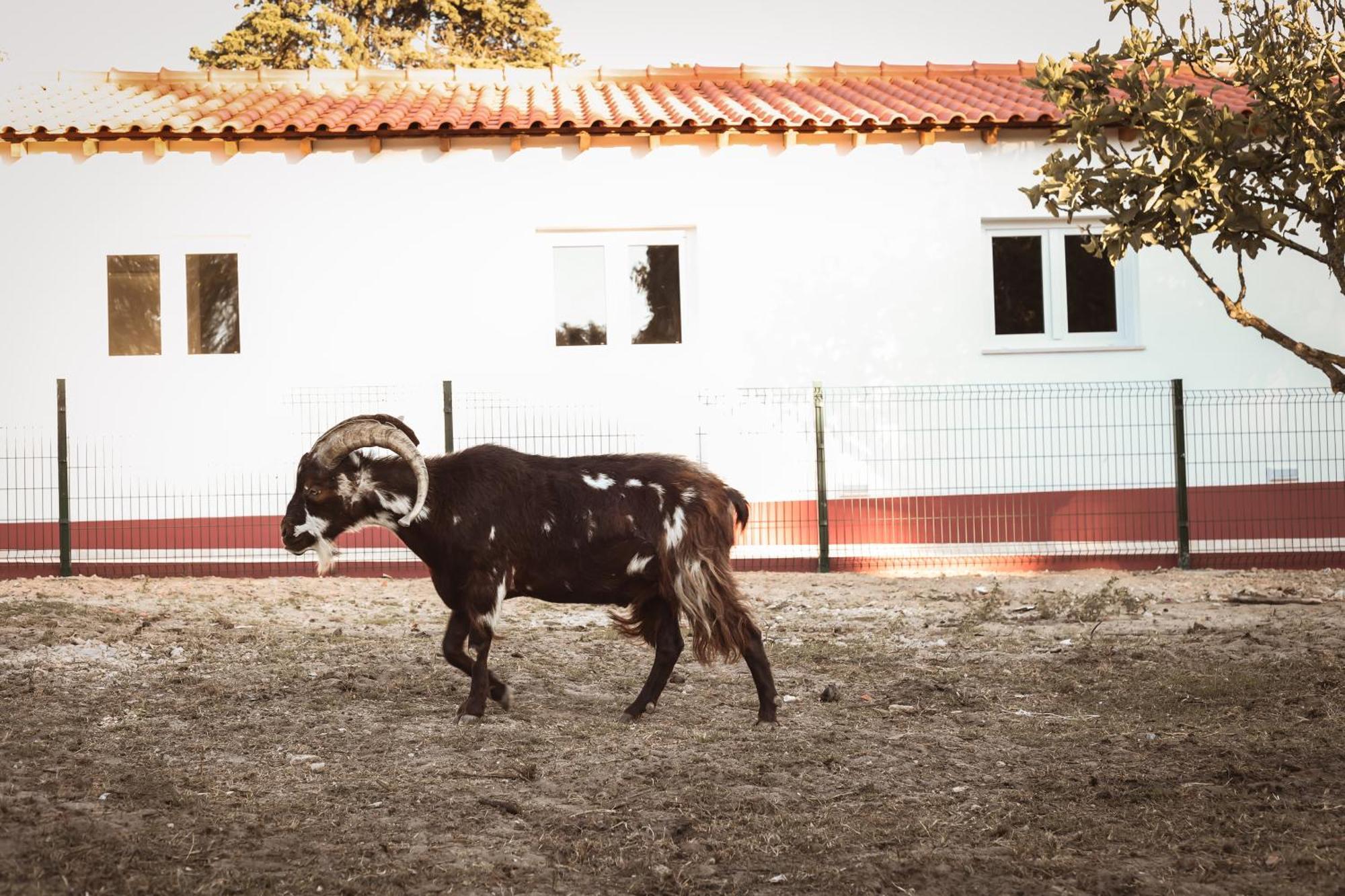 Quinta das Caçadoras Palmela Exterior foto