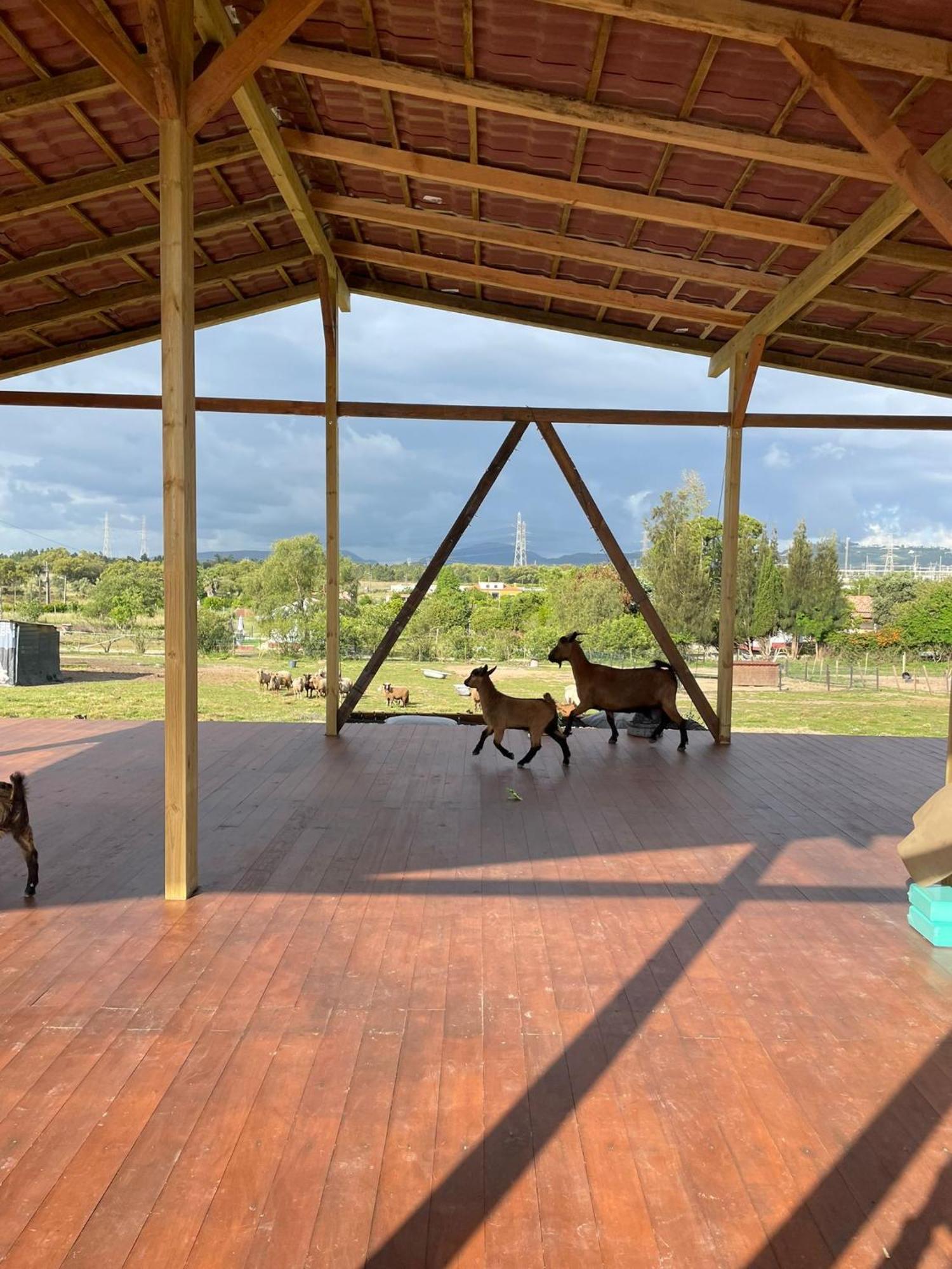 Quinta das Caçadoras Palmela Exterior foto